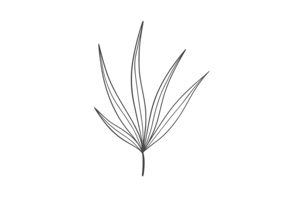 Illustration Vilda Växter — Stock vektor