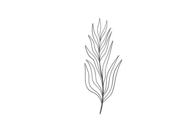 Linea Wildplant Illustrazione Artistica — Vettoriale Stock