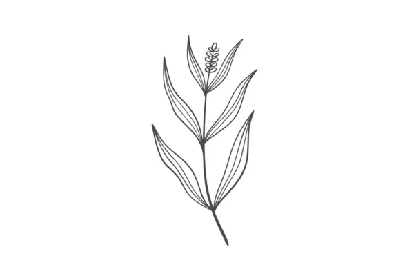 Wildplant Γραμμή Τέχνης Εικονογράφηση — Διανυσματικό Αρχείο