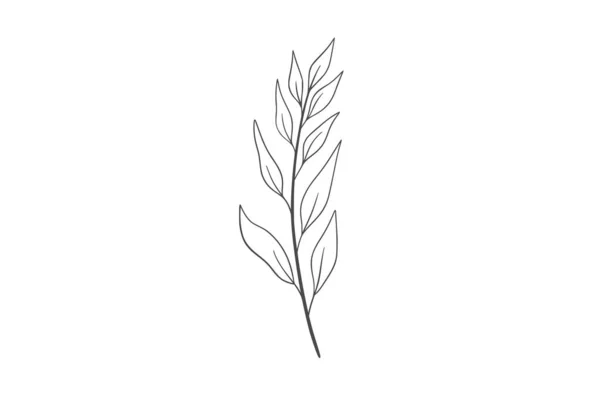 Linea Wildplant Illustrazione Artistica — Vettoriale Stock