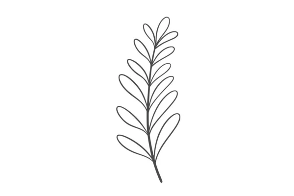 Wildplant Line Art Illustration — Stock Vector