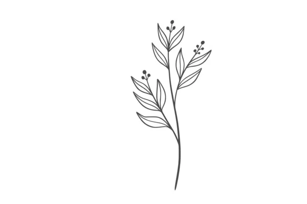 Línea Wildplant Ilustración Arte — Archivo Imágenes Vectoriales