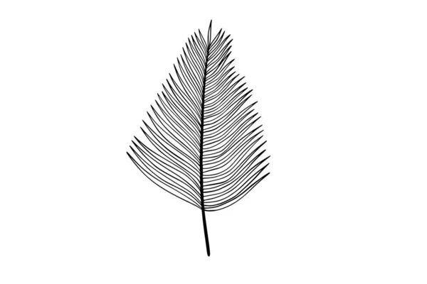 Иллюстрация Пальмовых Листьев — стоковый вектор