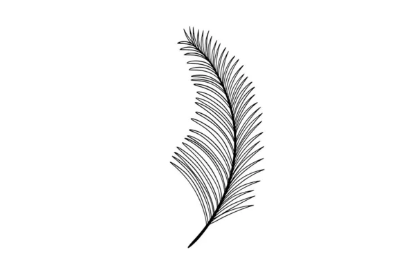 Palmblätter Reihen Sich Aneinander — Stockvektor