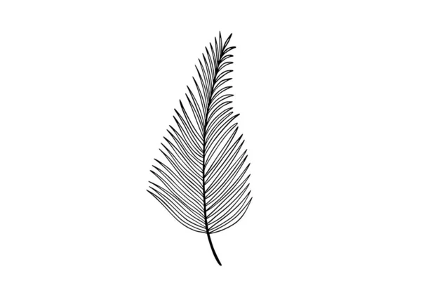Palm Bladeren Lijn Kunst Illustratie — Stockvector