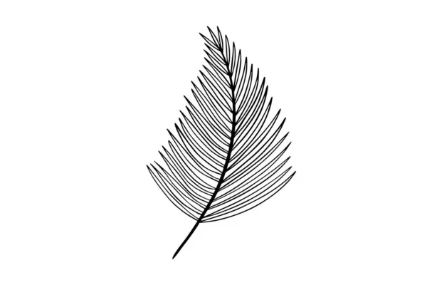 Palm Φύλλα Γραμμή Τέχνης Εικονογράφηση — Διανυσματικό Αρχείο