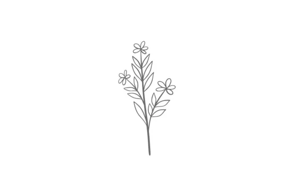 Illustration Art Ligne Eucalyptus — Image vectorielle