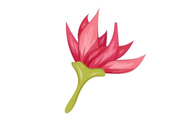 çiçek tasarım vektör çizim