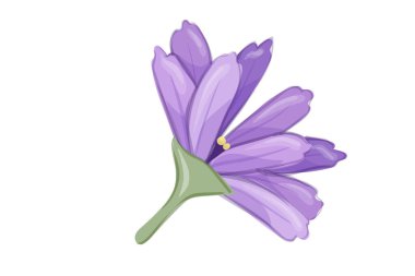 çiçek tasarım vektör çizim