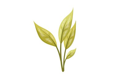 tasarım sanatı illüstrasyonu