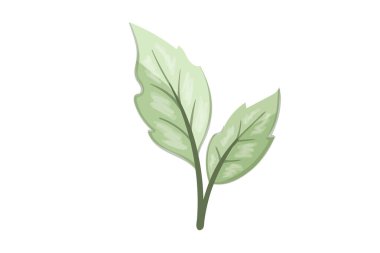 tasarım sanatı illüstrasyonu