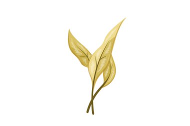 tasarım sanatı illüstrasyonu