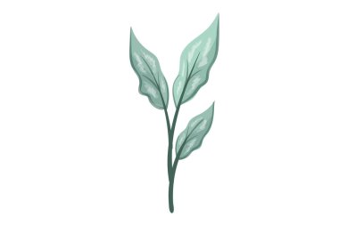 tasarım sanatı illüstrasyonu