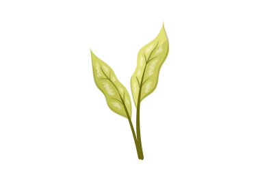 tasarım sanatı illüstrasyonu