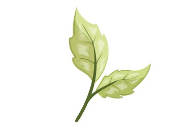 tasarım sanatı illüstrasyonu