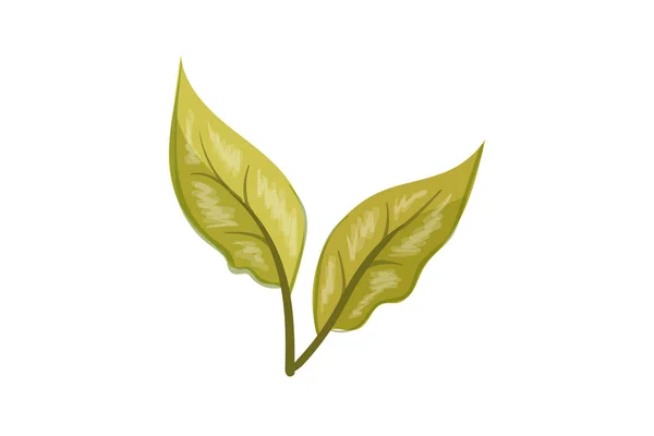Leaves Design Art Illustration — Stock Vector