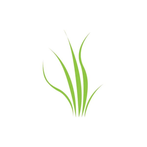 Зеленая Трава Весной Газон Значок Вектора — стоковый вектор