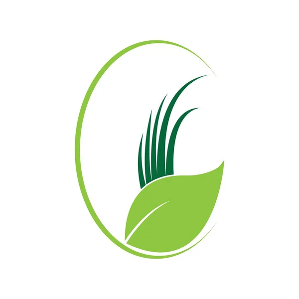 Grünes Gras Frühling Gazon Vektorsymbol — Stockvektor