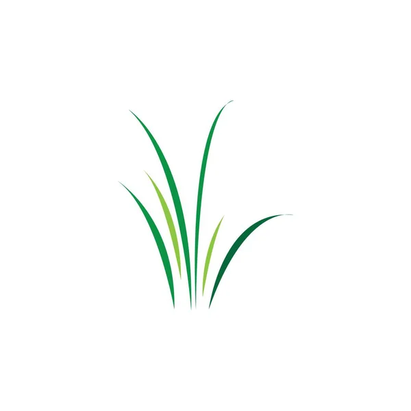 Green Grass Spring Gazon Vector Icon — Stock Vector
