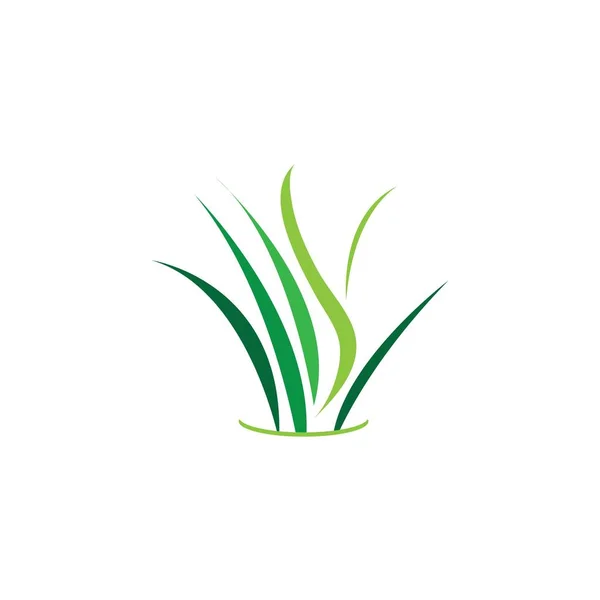 Groen Gras Lente Met Gazon Vectorpictogram — Stockvector