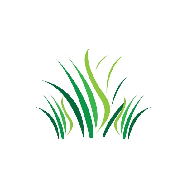 Grünes Gras Frühling Gazon Vektorsymbol — Stockvektor