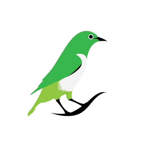 Ilustración Del Logotipo Del Vector Aves — Archivo Imágenes Vectoriales