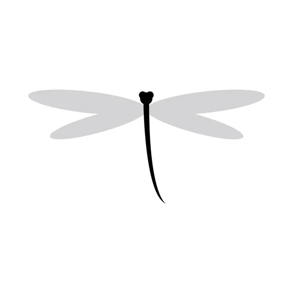 Dragonfly Logo Design Vector — Stock Vector