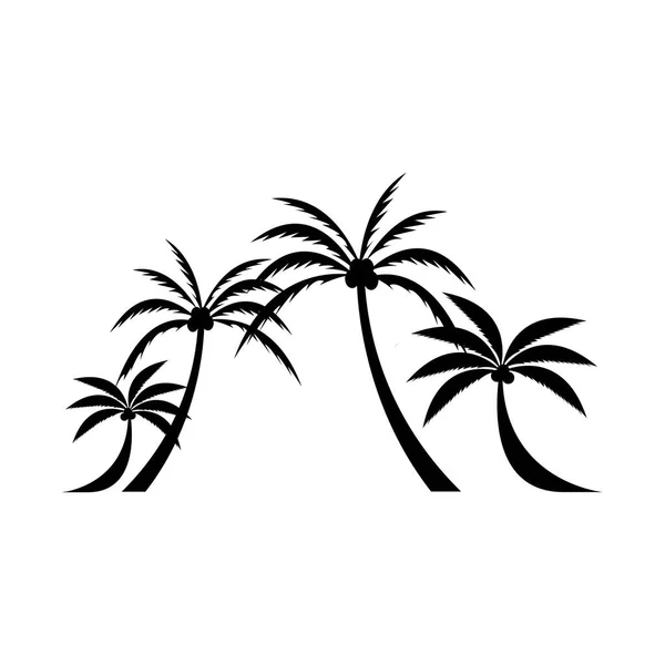 Coconut Tree Cocos Nucifera — Stock Vector