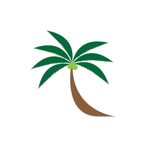 Kokosnöt Träd Cocos Nucifera — Stock vektor