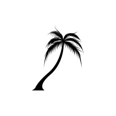 Hindistan cevizi ağacı (Cocos nucifera)