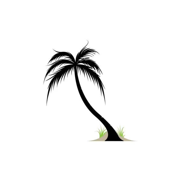 Cocotier Cocos Nucifera — Image vectorielle