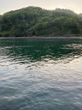 Şelaleli dağ nehri. Ormandaki nehir suyu manzarası. Doğa manzarası.