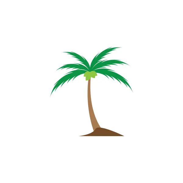 Kokosová Palma Cocos Nucifera — Stockový vektor