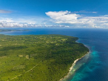 Tropik bölgelerde kristal berraklığında su bulunan tropik bir sahil. Siquijor, Filipinler.