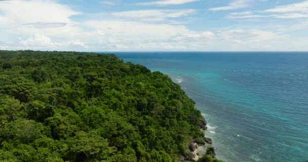 Gyönyörű Szelíd Hosszú Hullámok Érintik Kék Alatt Trópusi Szigeten Siquijor — Stock videók