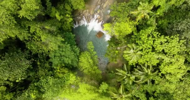 Gente Divierte Hermosas Cascadas Hipnotizantes Selva Inspección Aérea Exuberantes Palmeras — Vídeos de Stock