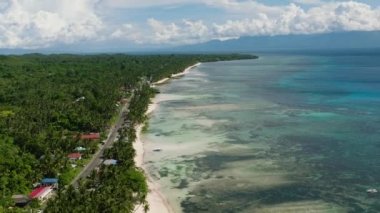 Bereketli palmiye ağaçları ve şeffaf deniz suyuyla Tropikal Ada manzarası. Siquijor, Filipinler.