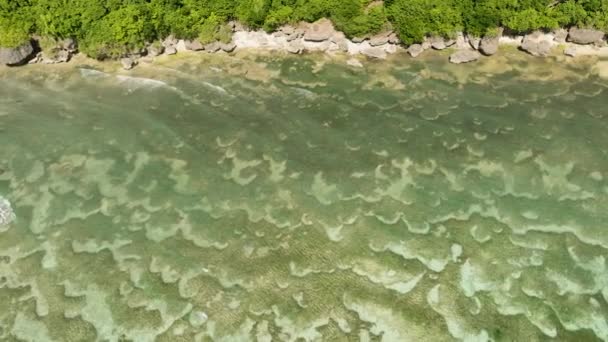 Μαγευτικό Τοπίο Underwatetr Κοραλλιογενείς Υφάλους Κοντά Στην Ακτή Siquijor Φιλιππίνες — Αρχείο Βίντεο