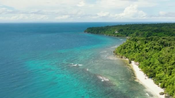 Belle Plage Sable Sur Une Île Tropicale Avec Abondants Arbres — Video