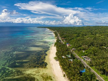 Bereketli palmiye ağaçları ve şeffaf turkuaz deniz suyuyla Tropikal Ada manzarası. Siquijor, Filipinler.