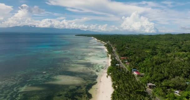 健康的なココナッツの木と一緒にサンゴ礁のターコイズブルーのラグーンと白い光沢のある海岸 フィリピンのシキホール — ストック動画