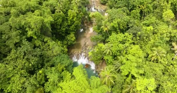 Luftaufnahmen Einer Frau Bambusfloß Versteckt Tropischen Regenwald Dschungel Siquijor Philippinen — Stockvideo