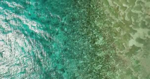 透明度の高いターコイズブルーの海水面を上から眺めます フィリピンのシキホール — ストック動画