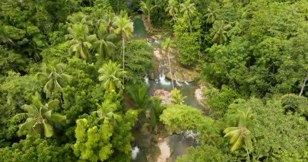 Fantastische Wasserfälle Umgeben Von Grünen Und Türkisfarbenen Bäumen Cambugahay Fällt — Stockvideo