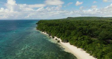 Kuşlar beyaz ve parlak sahilli çarpıcı sahil manzaralı. Siquijor, Filipinler.