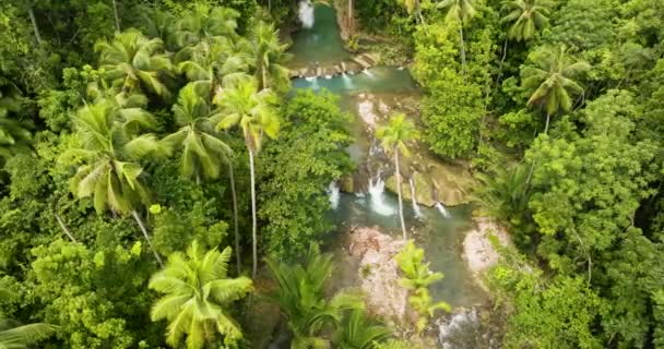 Cambugahay Üzerinde Yeşilimsi Güzel Bir Palmiye Ağacıyla Uçuyor Soğuk Kristal — Stok video