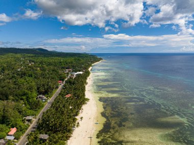 Turkuaz mercan resiflerinden oluşan turkuaz bir göl ve sağlıklı hindistan cevizi ağaçları. Siquijor, Filipinler.