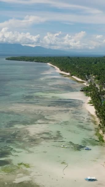 Wyspa Piaszczystą Białą Plażą Lazurową Wodą Otoczoną Rafą Koralową Siquijor — Wideo stockowe