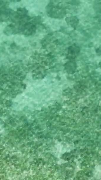 海の水のサンゴを閉じる サンゴ礁のテキストのコピースペース フィリピンのシキホール — ストック動画