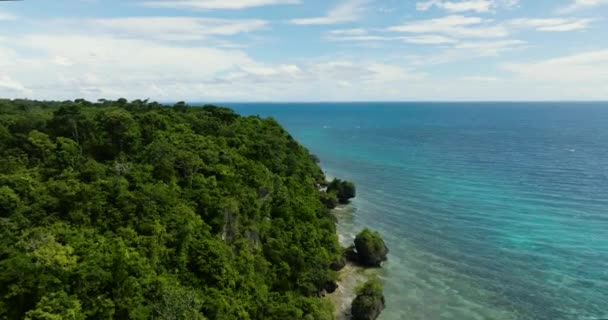 Mavi Okyanusun Açık Mavi Gökyüzünün Altındaki Muhteşem Hava Manzarası Tropikal — Stok video